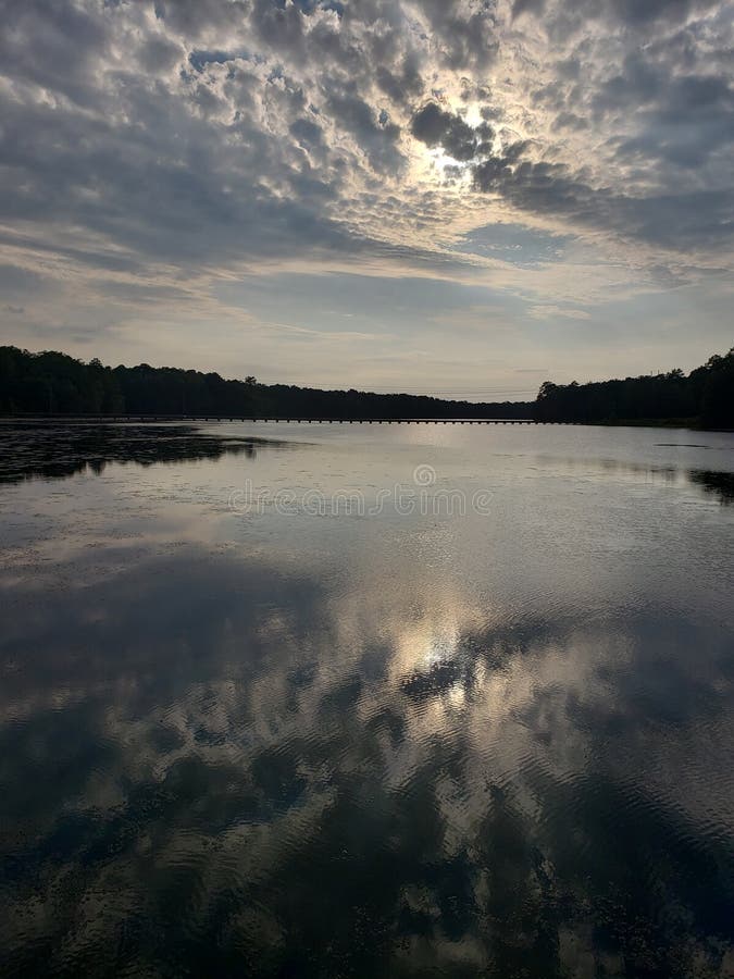 Visualizzazione dell'albero del cloud di Sky fotografia stock libera da diritti