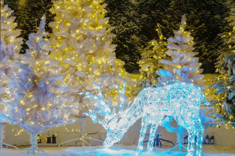 Visualizzazione della finestra di una renna ornamentale e degli alberi di Natale illuminati da LED immagini stock libere da diritti Visualizzazione della finestra di una renna ornamentale e degli alberi di Natale illuminati da LED immagini stock libere da diritti