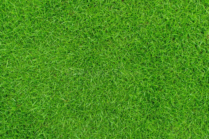 Visão de fundo de textura verde de jardim de grama conceito ideal usado para fazer gramado de pisos verdes para treinamento de fut