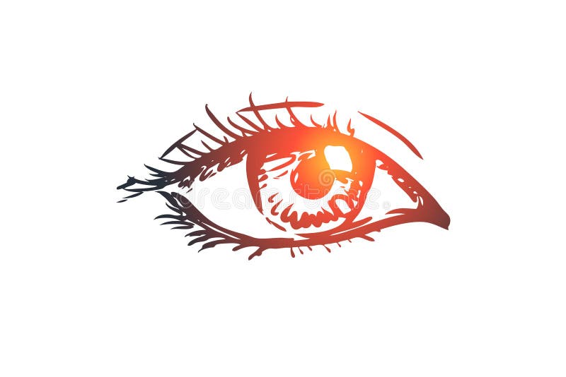 A visão, olho, olha, considera, conceito do globo ocular Vetor isolado tirado mão ilustração royalty free A visão, olho, olha, considera, conceito do globo ocular Vetor isolado tirado mão ilustração royalty free