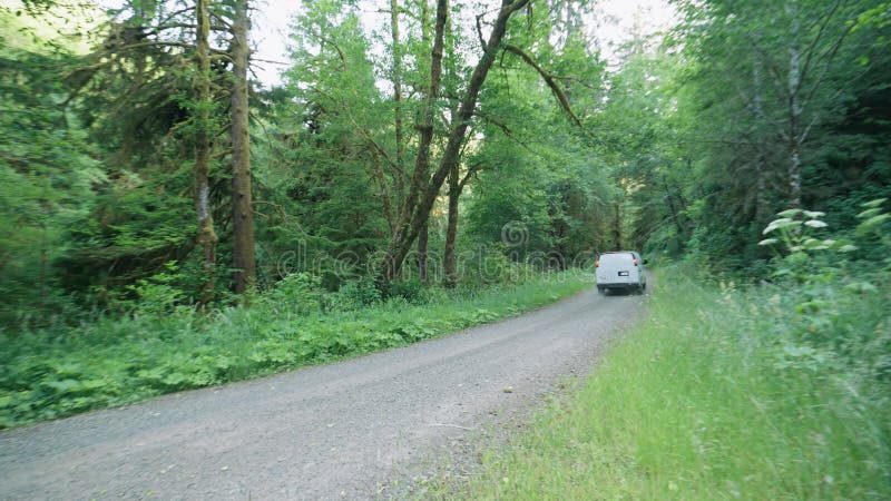 Vit van som kör ner en mörk skogsväg i Oregon