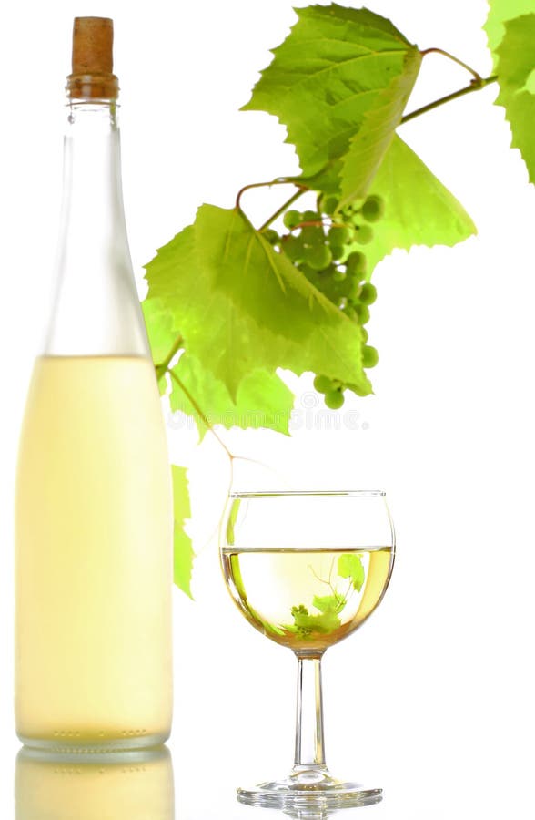 vit wine royaltyfri bild vit wine royaltyfri bild