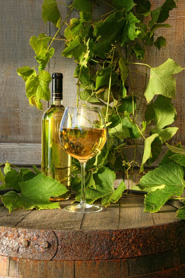 vit wine för vinrankalivstid fortfarande fotografering för bildbyråer vit wine för vinrankalivstid fortfarande fotografering för bildbyråer