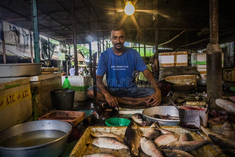Vita di un venditore del pesce immagini stock Vita di un venditore del pesce immagini stock