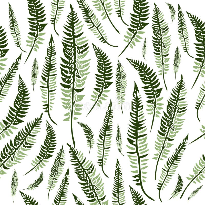 vita gröna isolerade leaves för fern vektor illustrationer vita gröna isolerade leaves för fern vektor illustrationer
