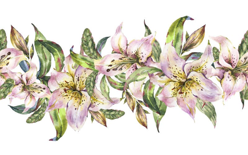 Vita Lily Seamless Border, kungliga liljablommor för vattenfärg, blom- textur för tappning stock illustrationer