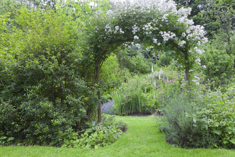 Vita rosor välva sig i en färgglad blomningträdgård royaltyfri fotografi Vita rosor välva sig i en färgglad blomningträdgård royaltyfri fotografi