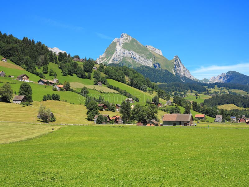 Vita verde al massiccio della montagna fotografia stock libera da diritti Vita verde al massiccio della montagna fotografia stock libera da diritti