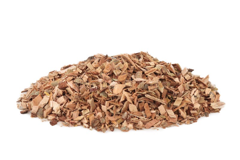 Vita Willow Bark Herb royaltyfria foton Vita Willow Bark Herb royaltyfria foton