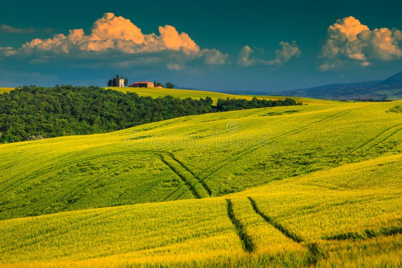 Vitaleta kapell på kullen nära Pienza, Tuscany, Italien, Europa arkivfoto Vitaleta kapell på kullen nära Pienza, Tuscany, Italien, Europa arkivfoto
