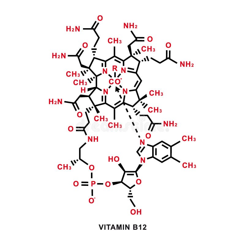 Vitamin B12 Chemical Formula. Vitamin B12 Chemical Molecular Structure. Vector Illustration