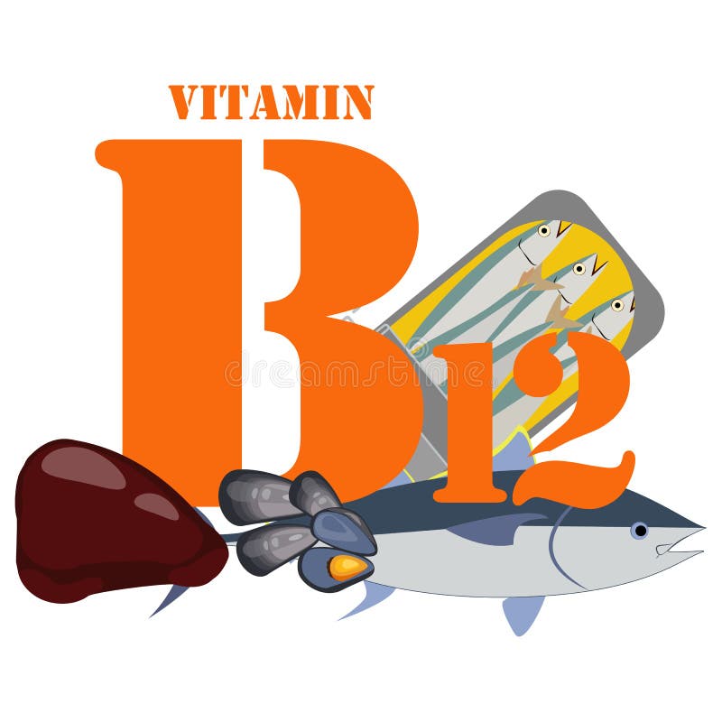 Vitamin B12 Healthy Nutrient Rich Food Vector Illustration Stock Vector