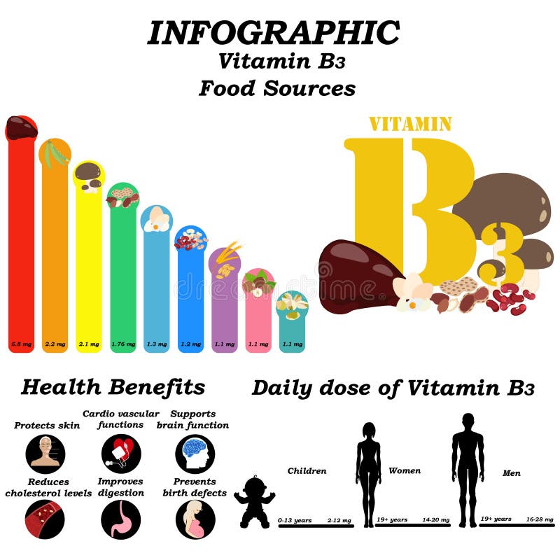 B3 Nutrition Stock Illustrations 243 B3 Nutrition Stock Illustrations