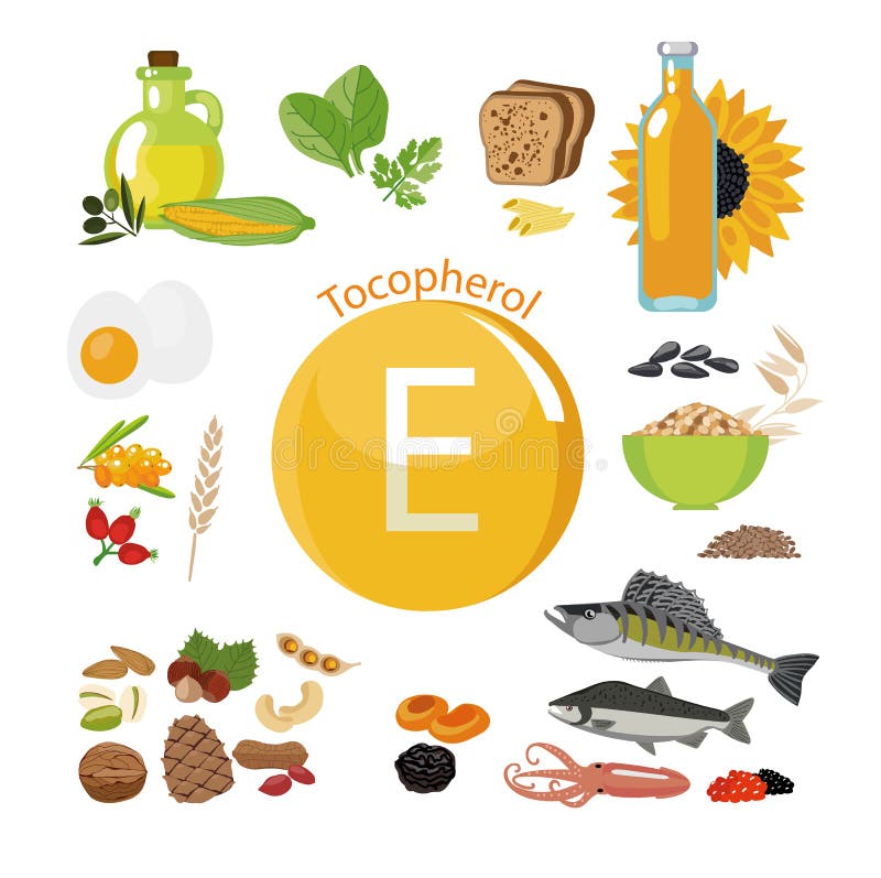 Vitamin E or Tocopherol. Food Sources. a Set of Organic Foods with a High of Stock Vector - Illustration of food, peanuts: