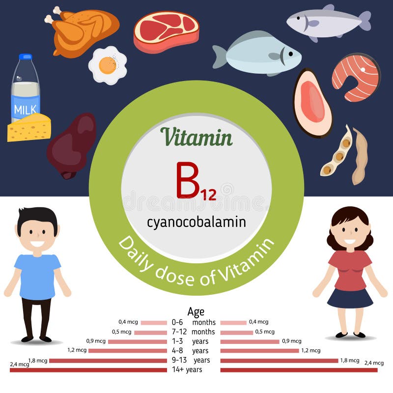 Vitamina B12 o cobalamina infographic ilustración del vector Vitamina B12 o cobalamina infographic ilustración del vector