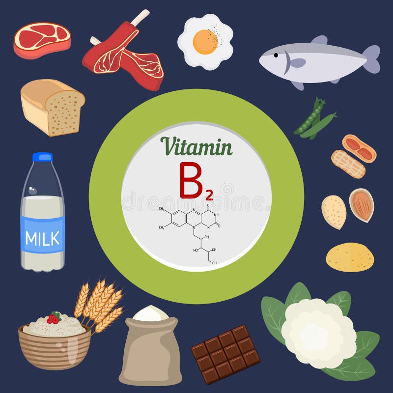 Lista 98+ Foto Estructura Quimica De La Vitamina B2 Lleno