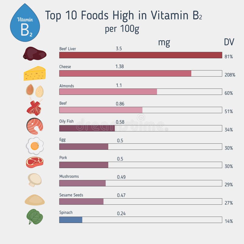 Vitamina B2 ou riboflavina infographic ilustração stock Vitamina B2 ou riboflavina infographic ilustração stock