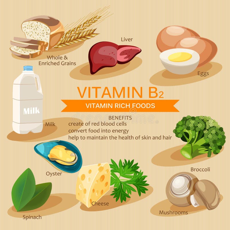 para que es vitamina b2