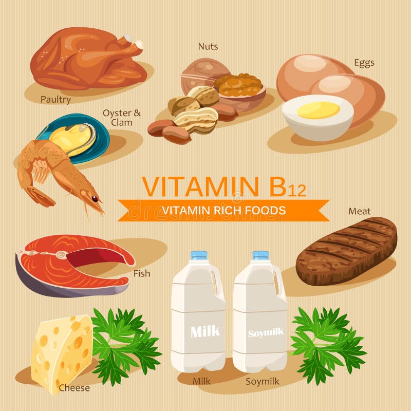 Vitamina B12 Vitaminas y comidas de los minerales Diseño gráfico de los iconos planos del vector Ejemplo del jefe de la bandera