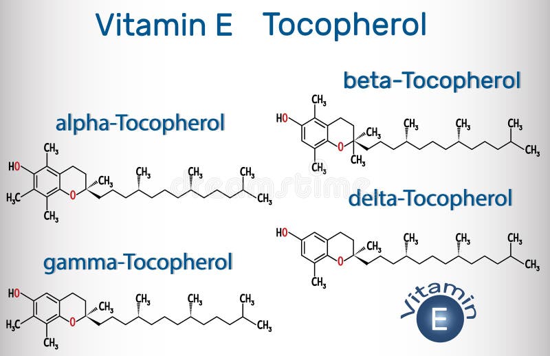 Vitamin E - Tocopherol alpha-, beta-, gamma-, delta- molecule. Structural chemical formula. Vector illustration. Vitamin E - Tocopherol alpha-, beta-, gamma-, delta- molecule. Structural chemical formula. Vector illustration