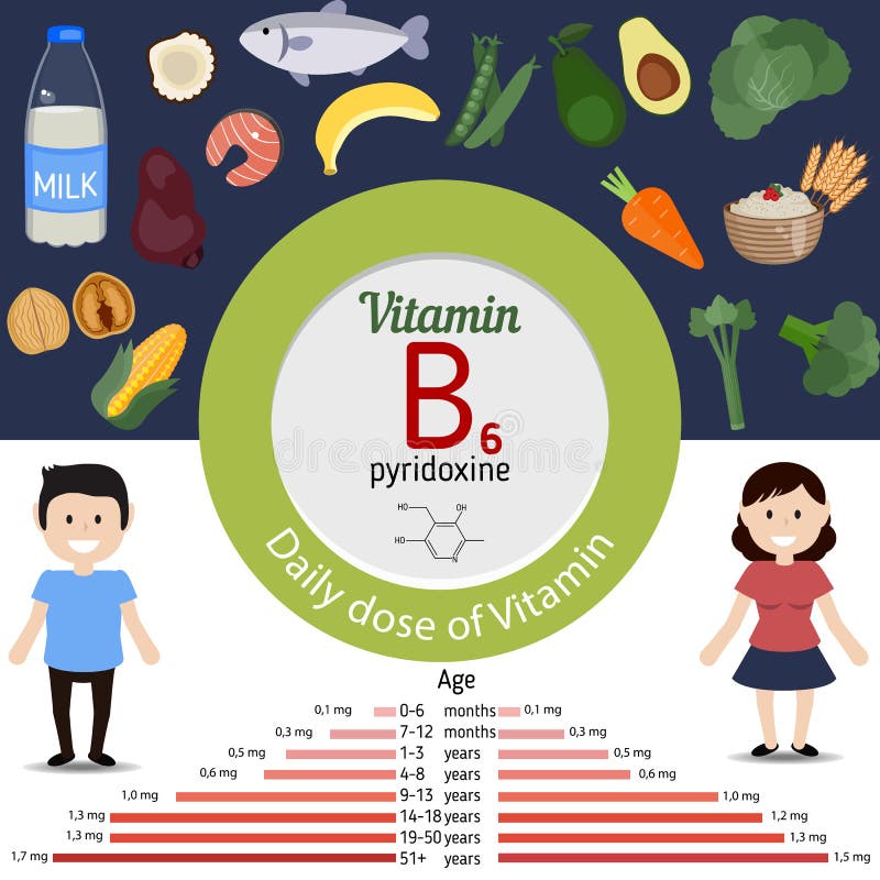 Vitamine B6 of infographic Pyridoxine royalty-vrije illustratie Vitamine B6 of infographic Pyridoxine royalty-vrije illustratie