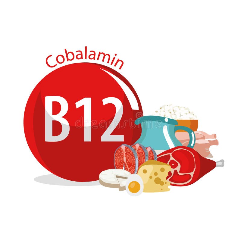 Vitamine B12 Natuurlijk Organisch Voedsel Met Hoge Vitamineinhoud Vector Illustratie - Illustration of dieet, nave:
