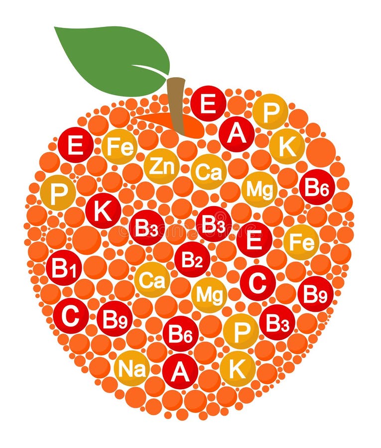 Vitaminer och mineraler av äpplet Infographics om näringsämnar i äpplefrukt Vektorillustration om äpplet, vitaminer, hälsa royaltyfri illustrationer Vitaminer och mineraler av äpplet Infographics om näringsämnar i äpplefrukt Vektorillustration om äpplet, vitaminer, hälsa royaltyfri illustrationer