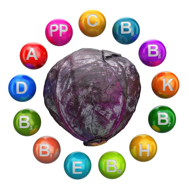 Vitamins in Purple Cabbage, 3D Rendering Stock Illustration