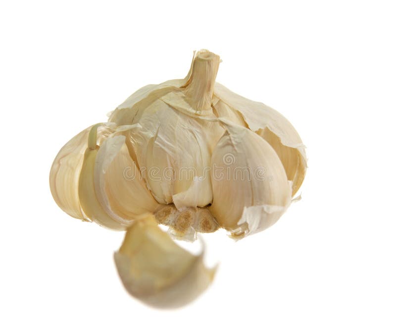 Vitlök isolerad white royaltyfri foto