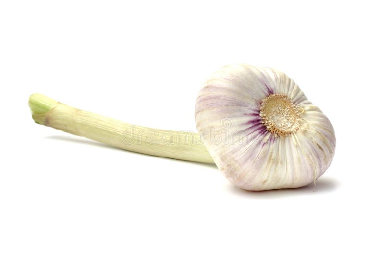 Vitlök som isoleras på vit arkivfoton