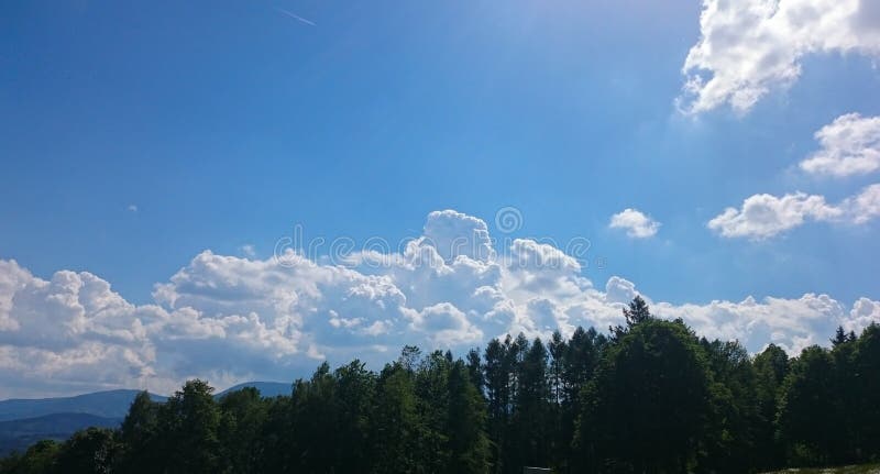 Vitmoln som omges av frodiga tr?d mot en h?rlig klar himmel arkivbilder Vitmoln som omges av frodiga tr?d mot en h?rlig klar himmel arkivbilder