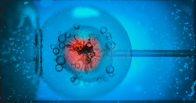 In vitro fecunda??o IVF Pilha sob o microsc?pio Genoma feito sob encomenda que edita in vitro, bebê do embrião da edição do gene ilustração do vetor In vitro fecunda??o IVF Pilha sob o microsc?pio Genoma feito sob encomenda que edita in vitro, bebê do embrião da edição do gene ilustração do vetor