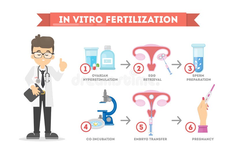 In vitro fertilization. stock illustration