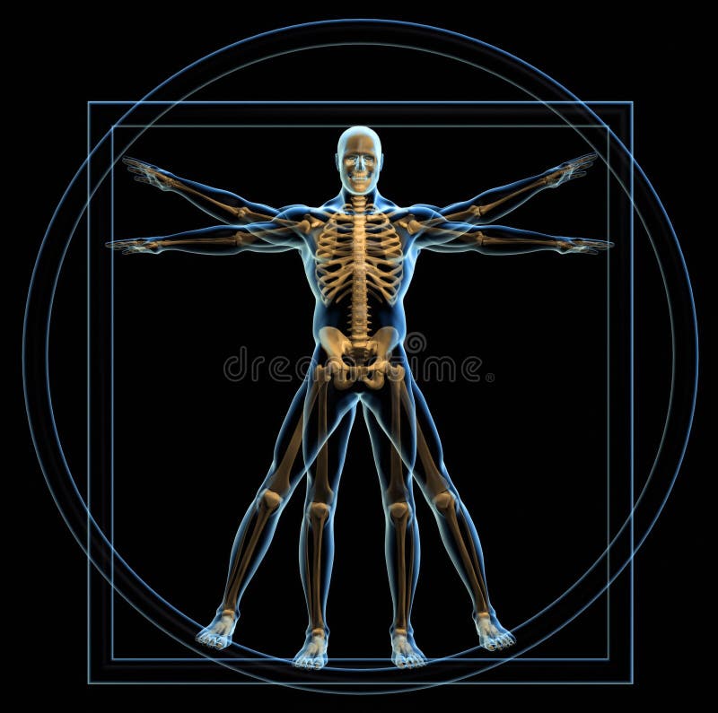 Vitruvian man