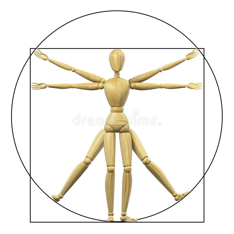 Vitruvian mannequin