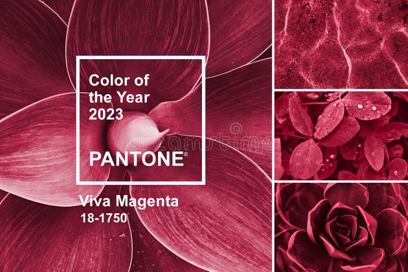 Viva Magenta color of Year 2023. Collage with palette shades samples on natural themes backgrounds and Pantone logotype