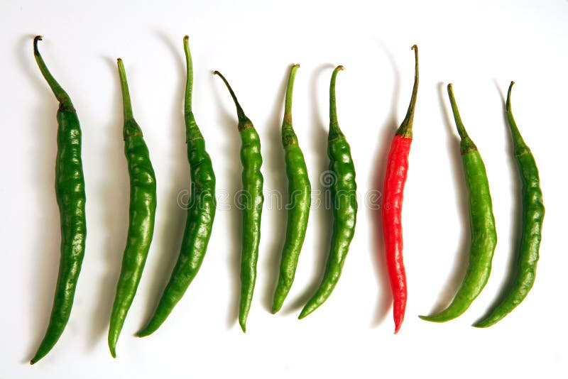 Hot chilli peppers, s jedním stojící jak se liší od davu.
