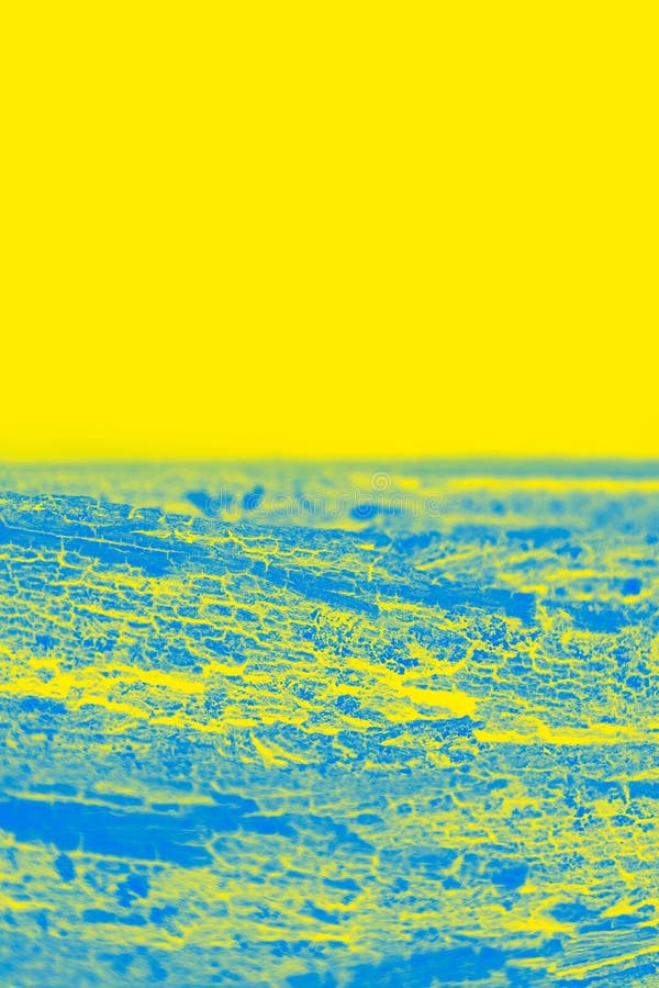 Vivid Blue Yellow Background. Half Yellow, Half Patchy Blue. Copy Space
