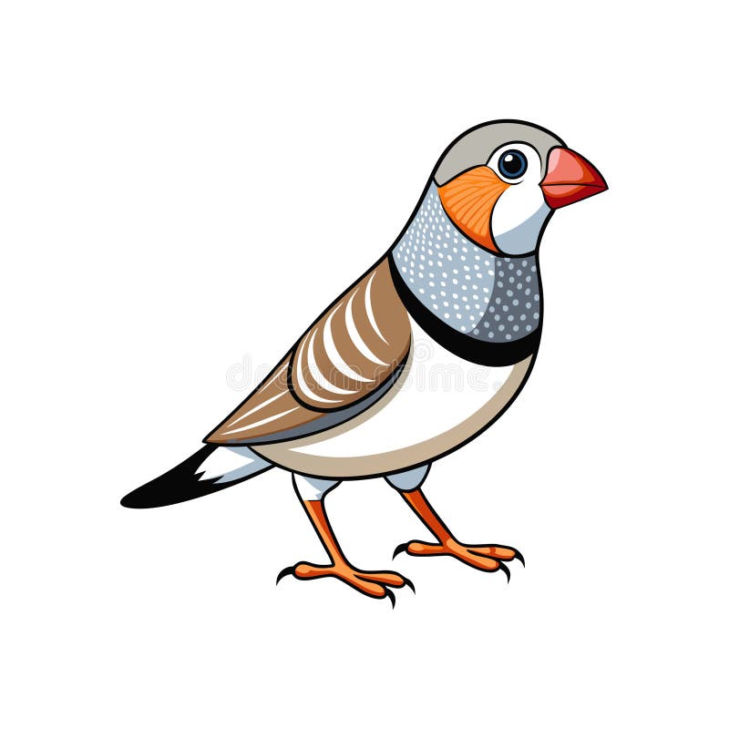 Vivid Burchells Zebra Finch Bird Illustration stock illustrationer