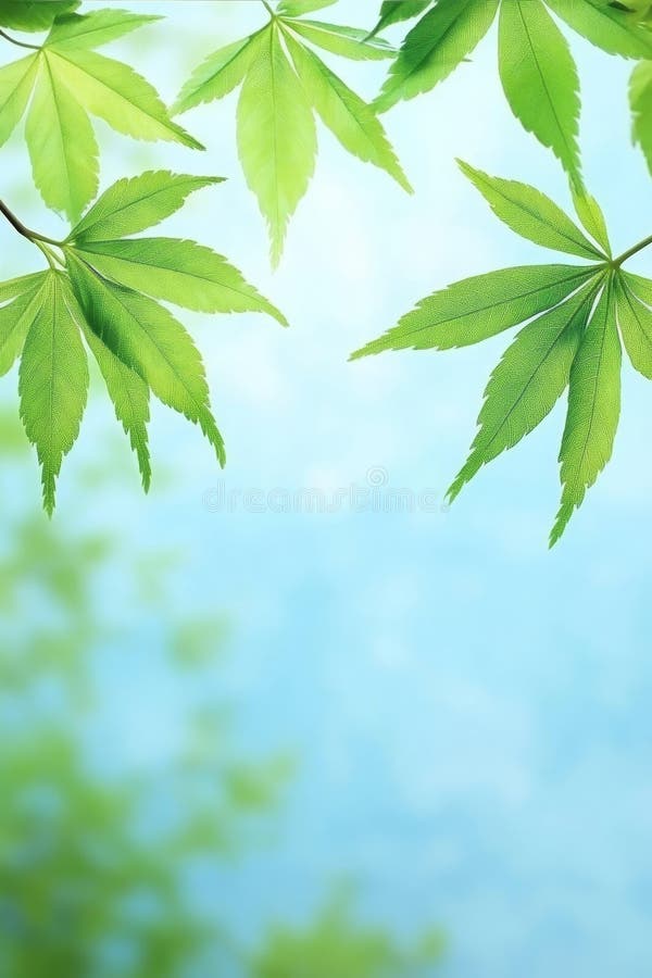 Vivid Green Maple Leaves Frame a Clear Blue Sky, Nature Background - Ideal for Springtime stock illustration