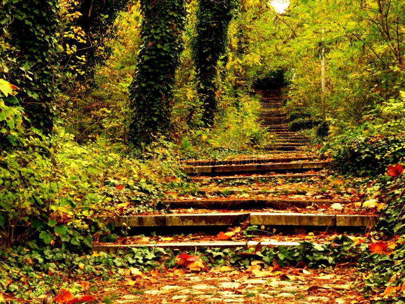 Vivid green orange yellow tree leaves. Autumn fall in the park garden. Forest and stone stairs covered with dried tree leaves.