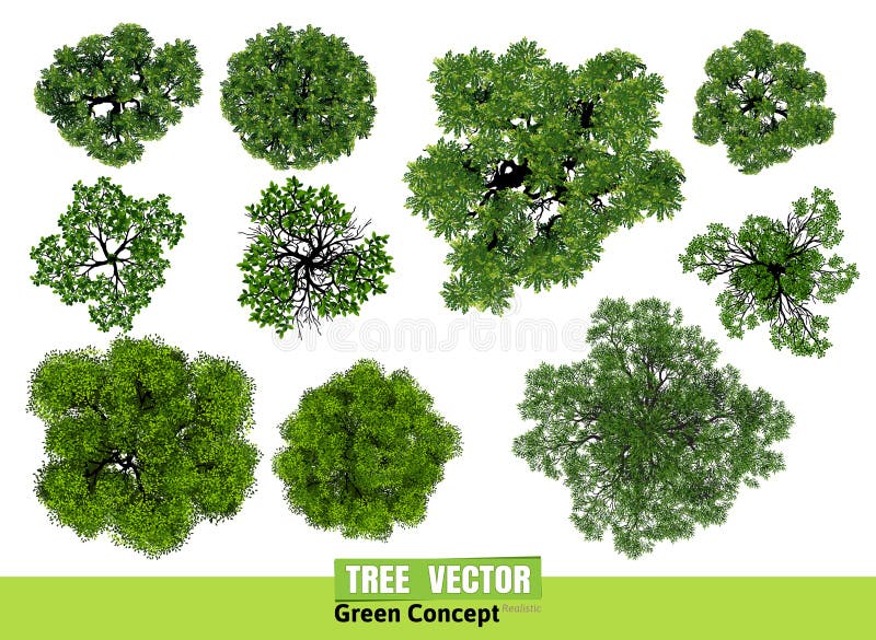 Vizualizarea superioară a arborilor pentru ilustrarea vectorului peisajului. royalty free illustration