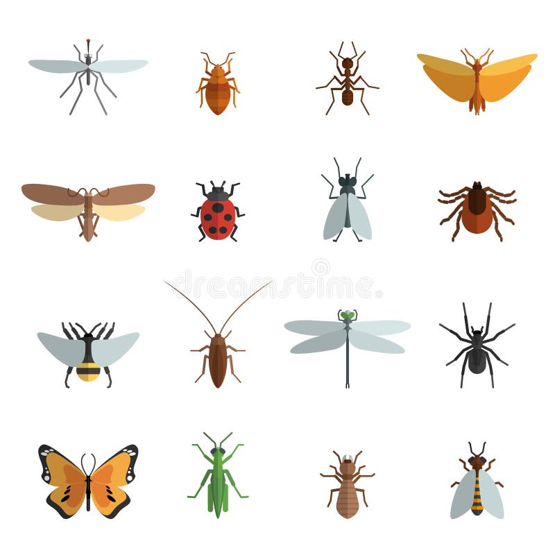 Insect icon flat set with mosquito grasshopper spider ant isolated vector illustration. Insect icon flat set with mosquito grasshopper spider ant isolated vector illustration