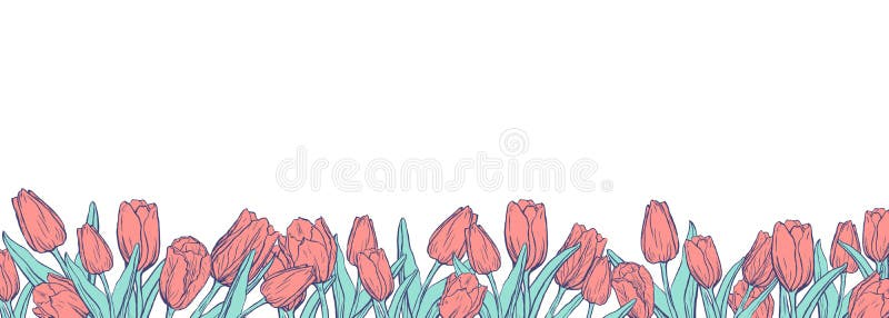 Vlakke horizontale banner met gekleurde tulpen op witte achtergrond royalty-vrije illustratie Vlakke horizontale banner met gekleurde tulpen op witte achtergrond royalty-vrije illustratie