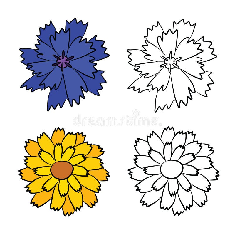 Vlakke Tekeningen van Korenbloem en Calendula stock illustratie Vlakke Tekeningen van Korenbloem en Calendula stock illustratie