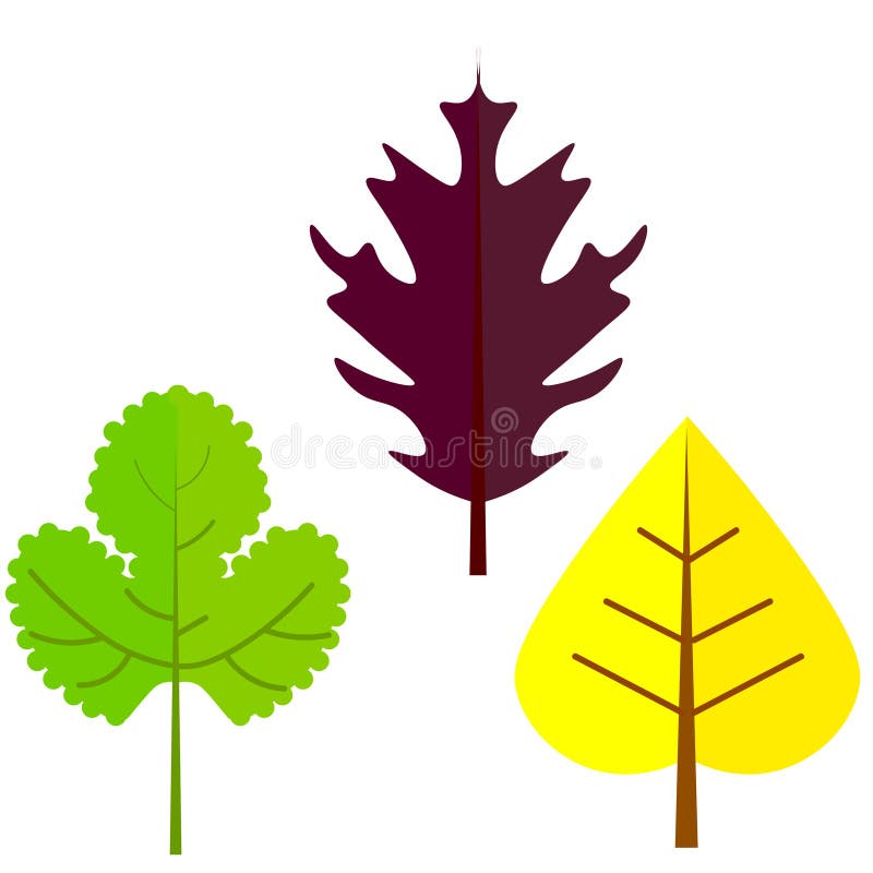 Vlakke vectorillustratie: Silhouetten van boombladeren vector illustratie Vlakke vectorillustratie: Silhouetten van boombladeren vector illustratie