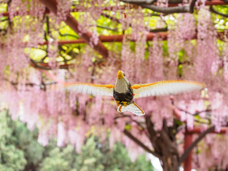 Vliegende vogel op de achtergrond van roze wisterialatwerk stock fotografie Vliegende vogel op de achtergrond van roze wisterialatwerk stock fotografie