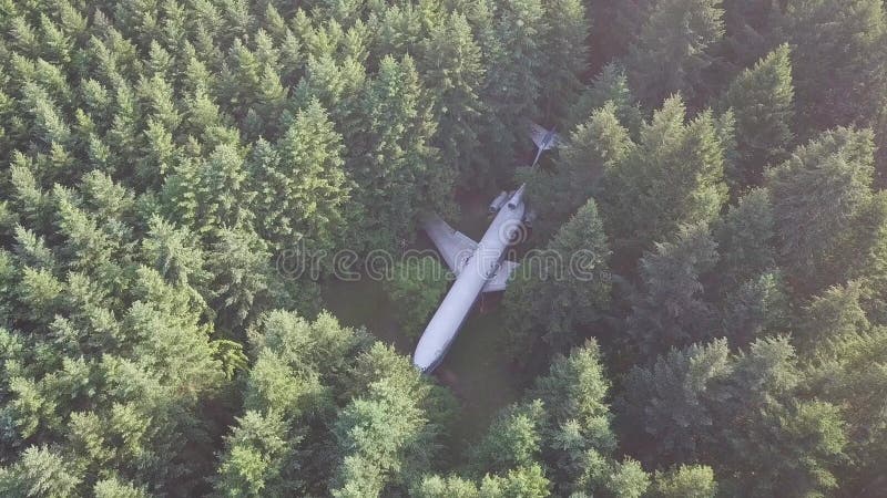Vliegtuig in het midden van een bos in oregon nabij portland. zicht vanuit de lucht in het bos aan de westkust van de verenigde st