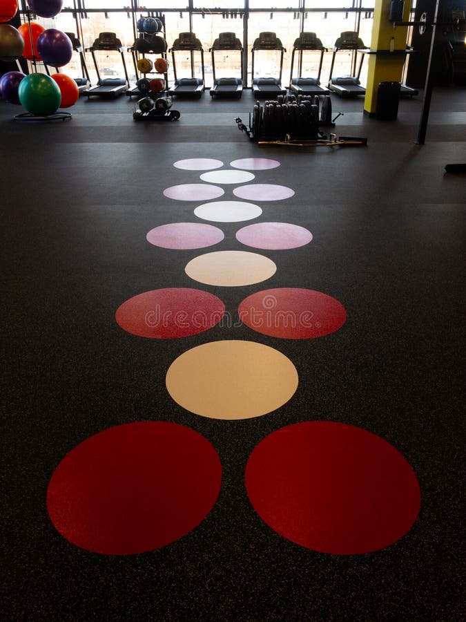 Vloer van een gymnastiek in een nieuwe sportclub stock afbeeldingen Vloer van een gymnastiek in een nieuwe sportclub stock afbeeldingen