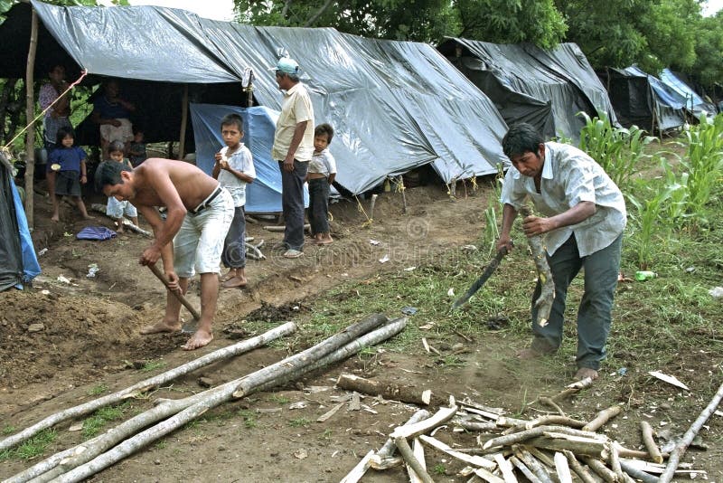 Guatemala, Retalhuleu Department: Everyday existence of Indian people driven from their land and illegally storing their camp on a piece of land along a large road in the countryside just outside the city. These people live with their children in black plastic huts. Daily life of landless indian people who have illegally occupied a piece of land along a highway. A man is chopping firewood with a machete and another man is making with a hoe a slit around the shelters to drain the rainwater. Guatemala, Retalhuleu Department: Everyday existence of Indian people driven from their land and illegally storing their camp on a piece of land along a large road in the countryside just outside the city. These people live with their children in black plastic huts. Daily life of landless indian people who have illegally occupied a piece of land along a highway. A man is chopping firewood with a machete and another man is making with a hoe a slit around the shelters to drain the rainwater.